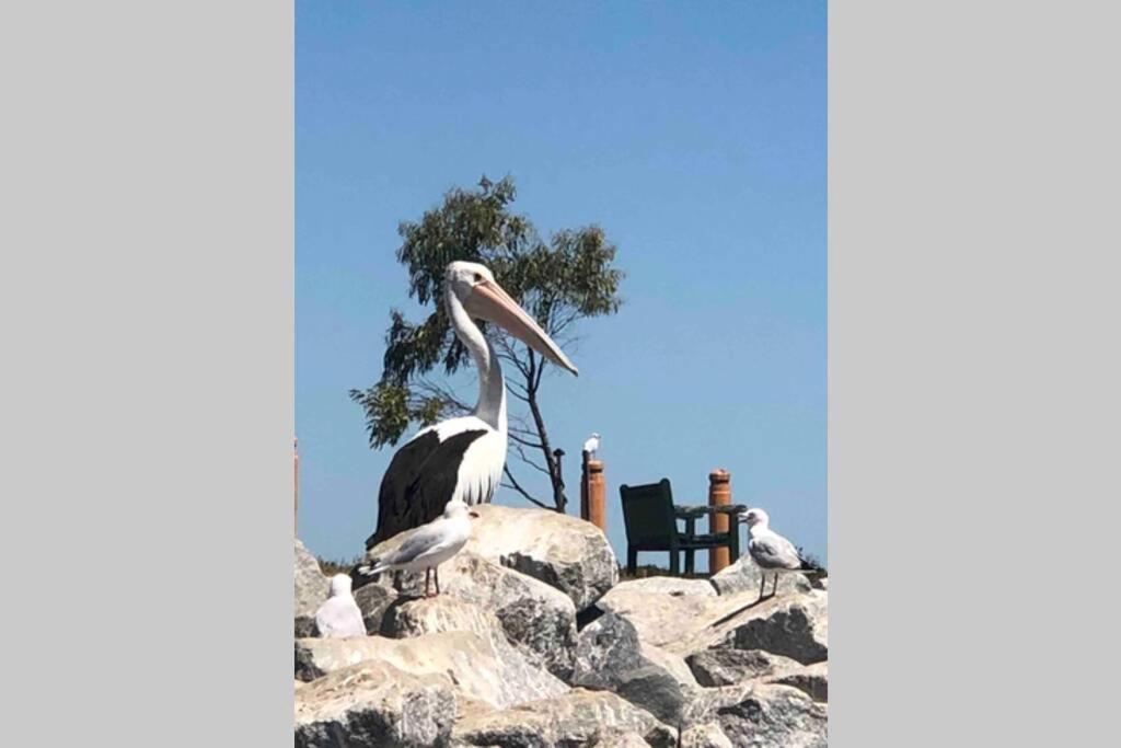 That Seaside Cottage - Fully Equipped Home, 4 Bedrooms On The Foreshore Tooradin Exterior photo